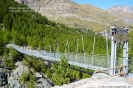 Glacier Garden & Hanging Bridge