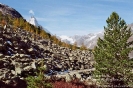 Matterhorn (autmn 2007)